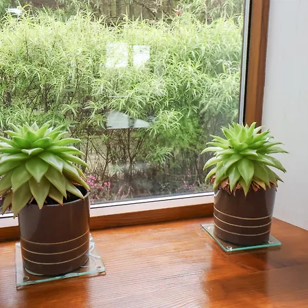 Dairy Dom wakacyjny Staintondale